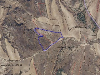13679-0001 26