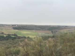 13679-0001 35