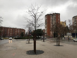 12223-0001 6