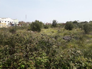 05699-0001 3