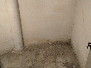 01524-0001 8