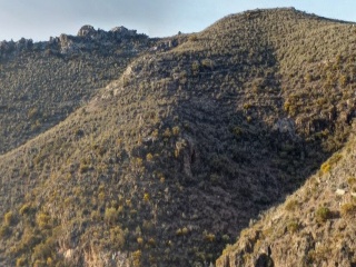 Pisos banco Níjar