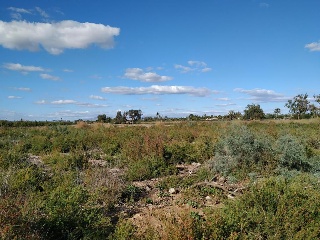 07007-0001 2