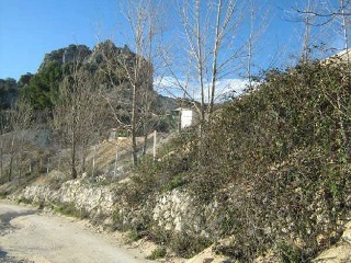 Suelo rústico en Torre del Campo (Jaén) 2
