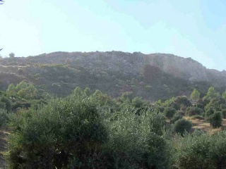 Suelo rústico en Torre del Campo (Jaén) 3