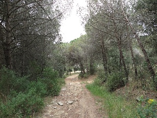 11046-0001 2