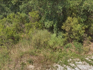 14398-0001 3