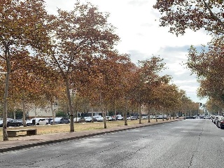 Plazas de garaje en Sevilla 22