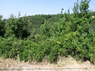18990-0001 3