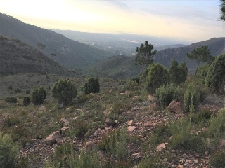 Suelo rústico en C/ Les Canteres, Benicasim (Castellón) 4