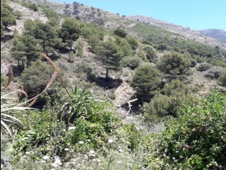 Suelo Urbanizable situado en Mijas 6