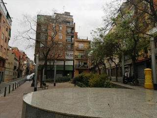 Local situado en Barcelona 8