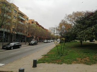 Local situado en Barcelona 10