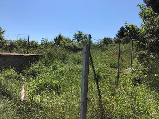 15717-0001 4