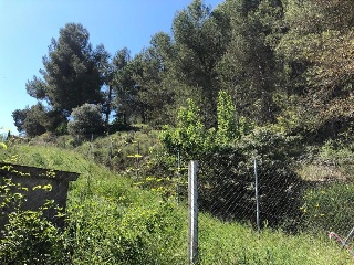 15717-0001 5