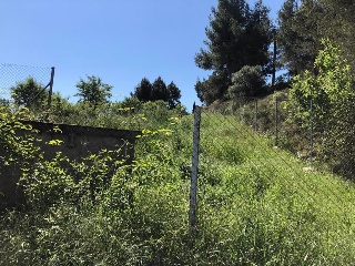 15717-0001 6