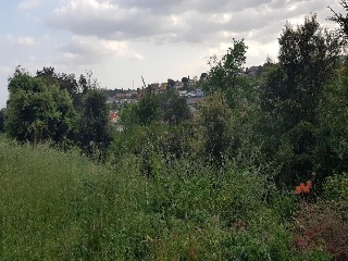 15747-0001 8