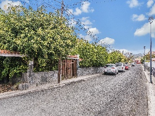 05955-0001 3