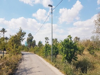 12589-0001 5