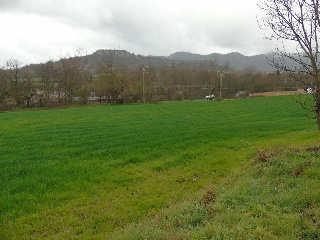 13235-0001 6