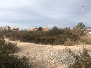 Solar en Carrús 3