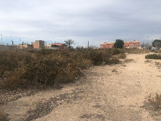 Solar en Carrús 7