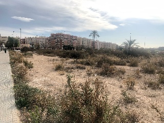 Solar en Carrús 8