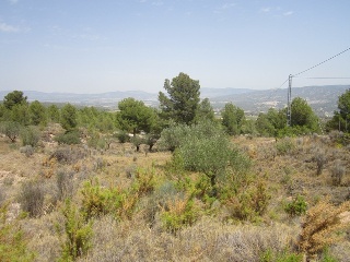 Terreno con edificación en Tibi - Alicante - 12