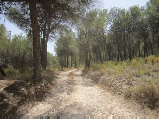 Terreno con edificación en Tibi - Alicante - 14
