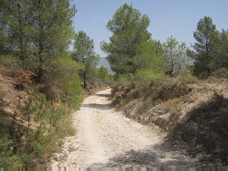 Terreno con edificación en Tibi - Alicante - 15