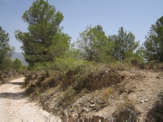 Terreno con edificación en Tibi - Alicante - 16