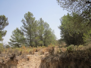 Terreno con edificación en Tibi - Alicante - 17