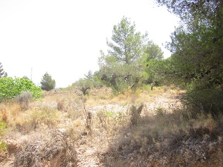 Terreno con edificación en Tibi - Alicante - 18