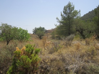 Terreno con edificación en Tibi - Alicante - 19