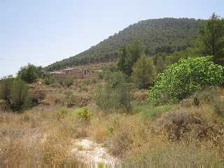 Terreno con edificación en Tibi - Alicante - 20