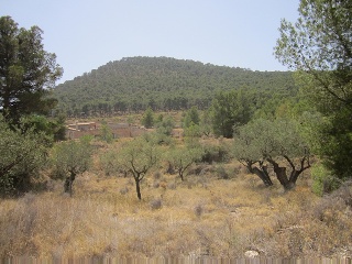 Terreno con edificación en Tibi - Alicante - 21