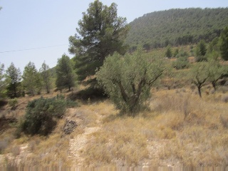 Terreno con edificación en Tibi - Alicante - 22