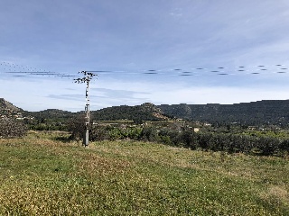 Terreno en Canals (Valencia) 5