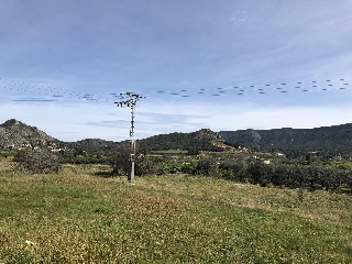 Terreno en Canals (Valencia) 6