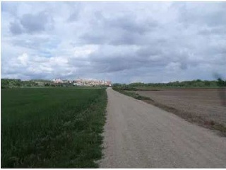 Suelo urbanizable delimitado en Simancas (Valladolid) 4