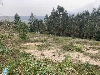 02766-0001 7