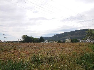 21984-0001 3