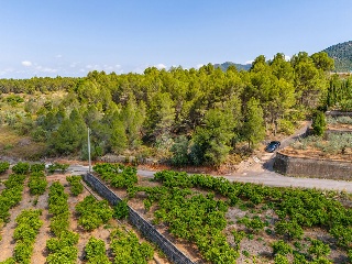 Otros en venta en Onda de 4986  m²