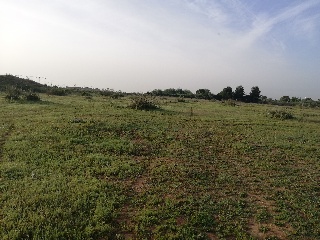 19616-0001 2