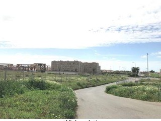 19616-0001 3