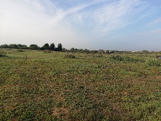 19616-0001 6