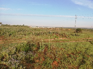 19616-0001 8