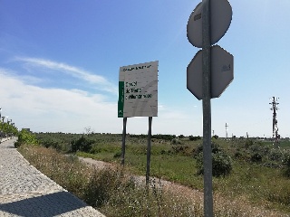 19616-0001 10