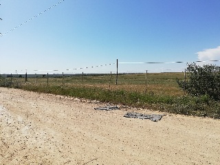 19616-0001 15