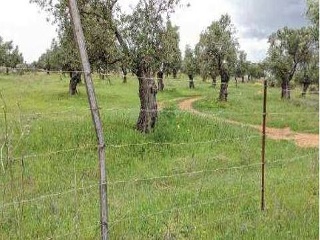 Otros en venta en Beas de 13891  m²